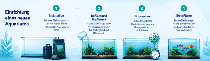 Ein neues Aquarium einrichten