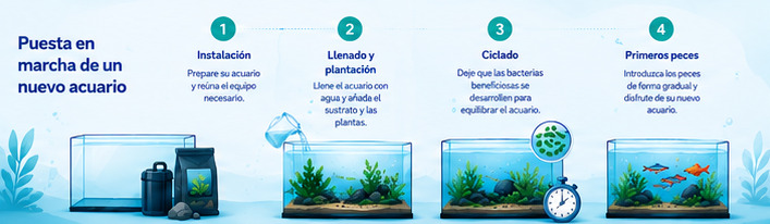 Configuración de un Nuevo Acuario