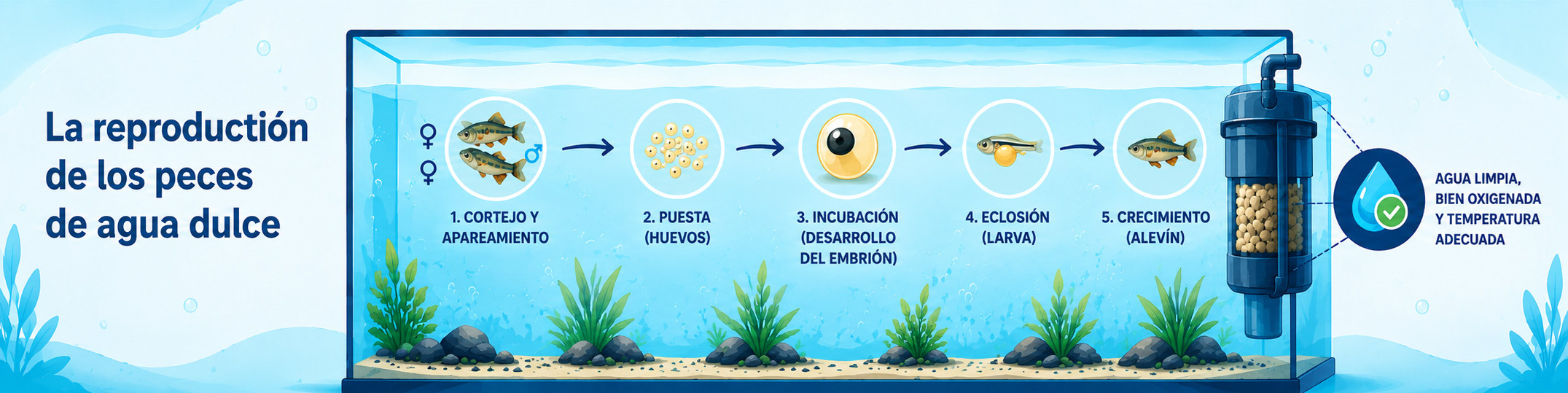Reproducción de Peces de Agua Dulce