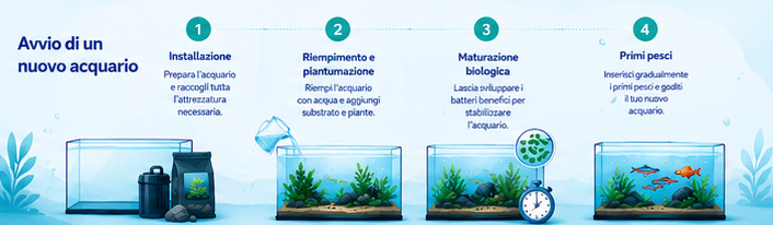Allestire un nuovo acquario